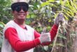 Pemotong Rotan, Salah Satu Pekerjaan yang Masih Bertahan di Kelurahan Bangkuang