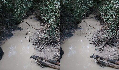 Sungai Munte Diduga Tercemar Tambang, Warga Desak Sanksi Adat untuk PT Bartim Coalindo