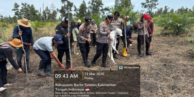 Dukung Asta Cita Presiden, Polsek Karau Kuala Tanam Jagung 5 Hektare Bersama Warga Janggi