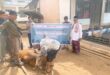 Tak Sekadar Kurban, Iduladha di Karau Kuala Hadirkan Makna Kebersamaan dan Kepedulian Sosial